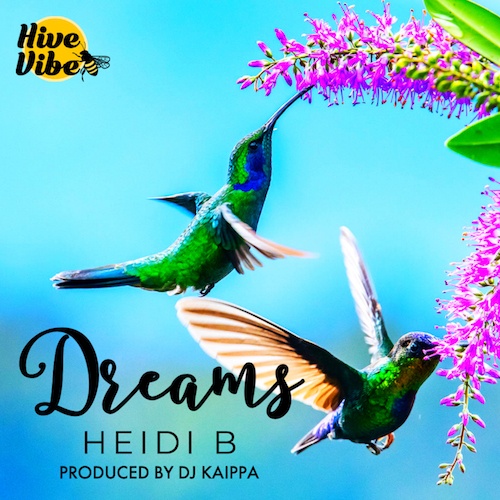 Heidi B, Kaippa-Dreams