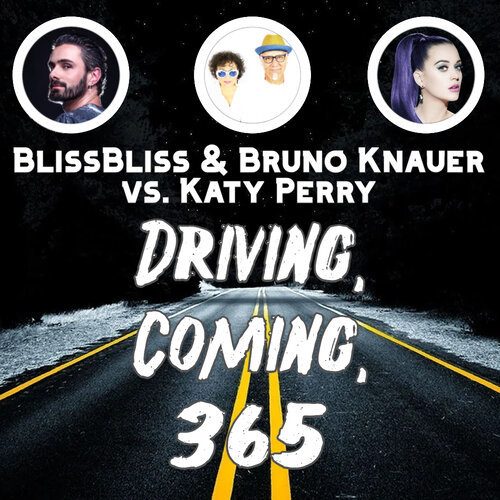 Bliss Bliss, Ricky Sixx-Driving, Coming, 365
