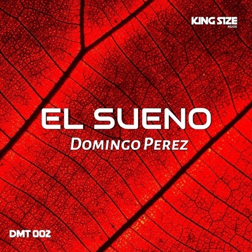 Domingo Perez, Dj Global Byte-El Sueno
