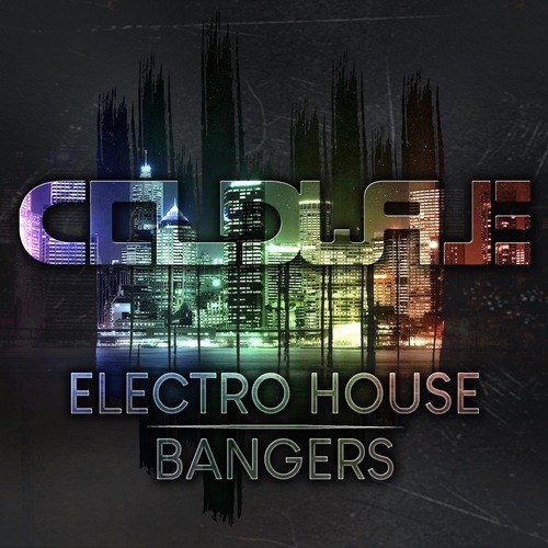 Various Artists, Dj L.a.m.c, K0mpl3x, Dj L.a.m.c, Vision B., Ngd Project, Vision B.-Electro House Bangers