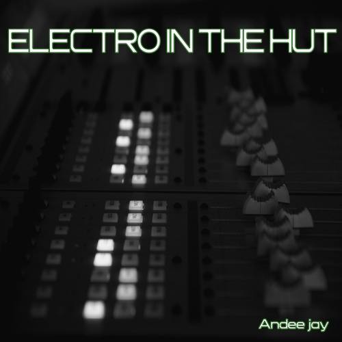 Andee Jay-Electro In The Hut