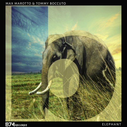 Max Marotto & Tommy Boccuto-Elephant