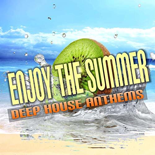 Enjoy The Summer (chart Hits)