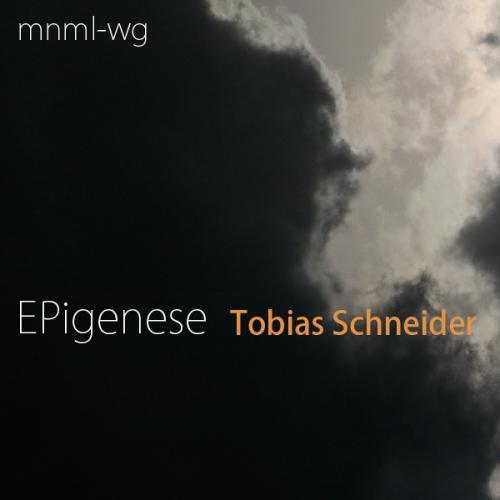 Tobias Schneider-Epigenese
