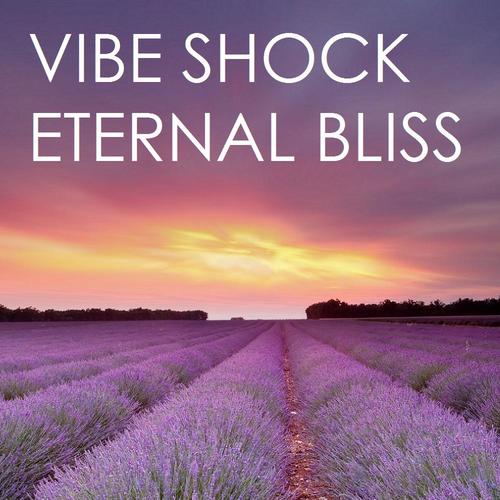 Vibe Shock-Eternal Bliss