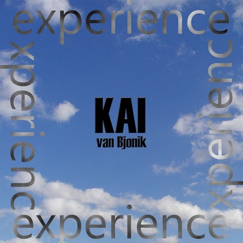 Kai Van Bjonik-Experience