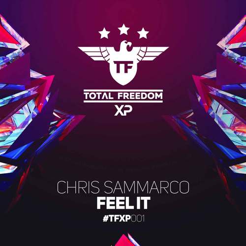Chris Sammarco-Feel It