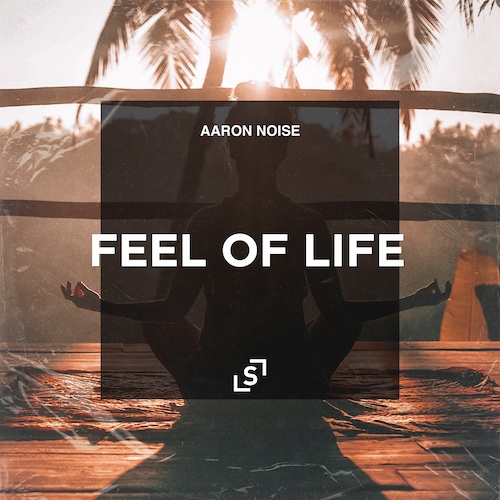 Aaron Noise-Feel Of Life