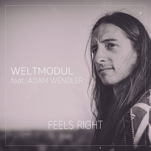 Weltmodul Feat. Adam Wendler-Feels Right