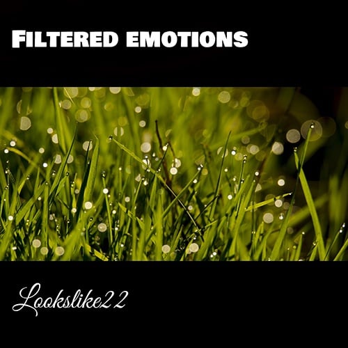 Lookslike22-Filtered Emotions