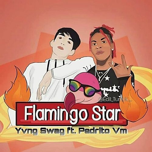 Yvng Swag Feat. Pedrito Vm-Flamingo Star