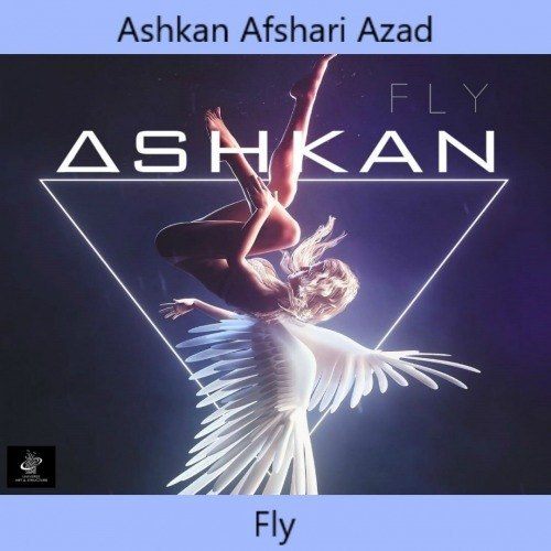 Ashkan Afshari Azad-Fly