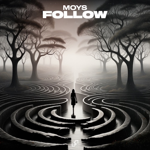 MOYS-Follow