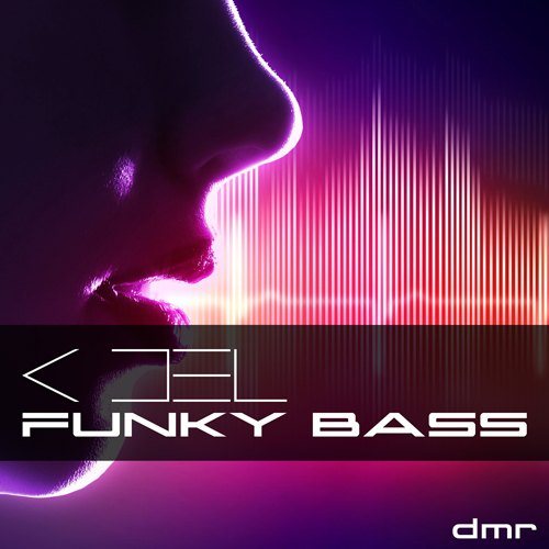 K Del-Funky Bass