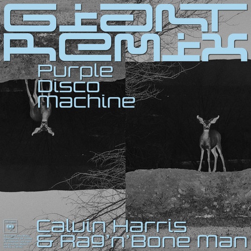 Calvin Harris & Rag'n'bone Man, Purple Disco Machine-Giant (purple Disco Machine)