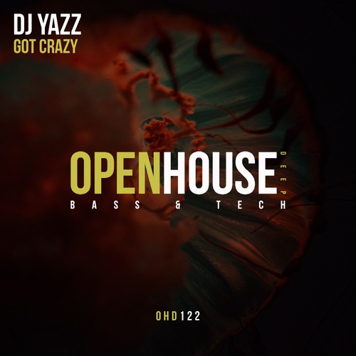 DJ Yazz-Got Crazy