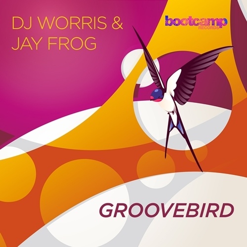 Dj Worris & Jay Frog, Jay Frog, Sven Kuhlmann, Dj Worris -Groovebird