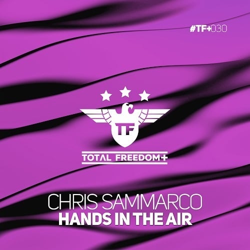Chris Sammarco-Hands In The Air