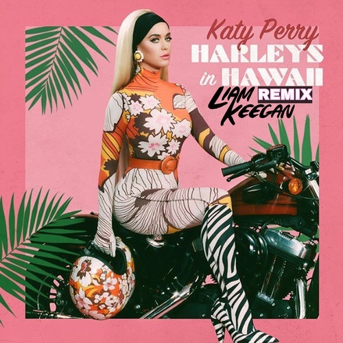 Katy Perry, Liam Keegan-Harleys In Hawaii (liam Keegan Remix)