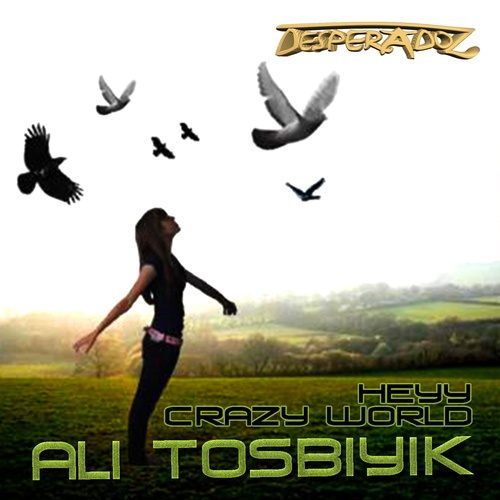 Ali Tosbiyik-Heye / Crazy World