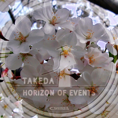 Takeda-Horizon Of Events