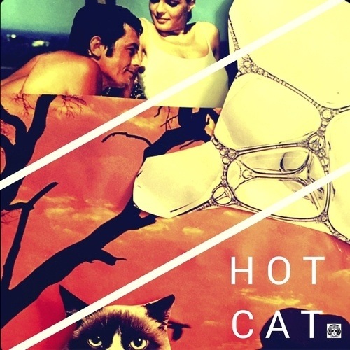 Hot Cat