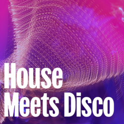 House Meets Disco - Music Worx