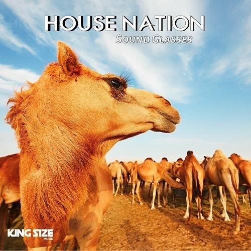 Sound Glasses-House Nation