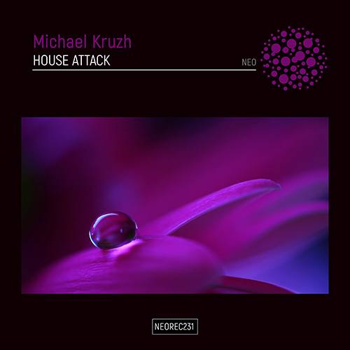 Michael Kruzh-House Attack