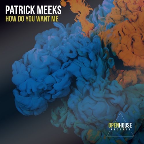 Patrick Meeks-How Do You Want Me