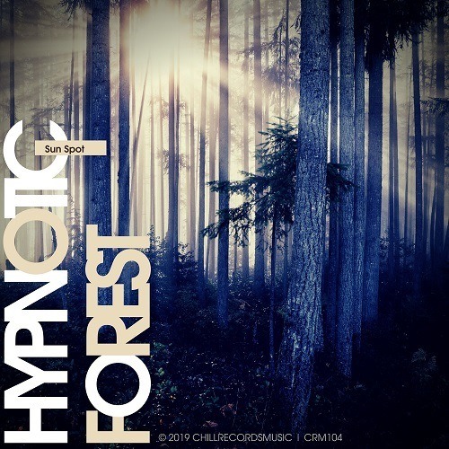 Sun Spot-Hypnotic Forest