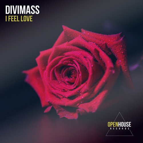 DiviMass-I Feel Love