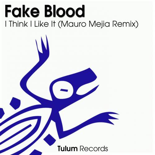 Fake Blood-I Think I Like It -mauro Mejia Remix-