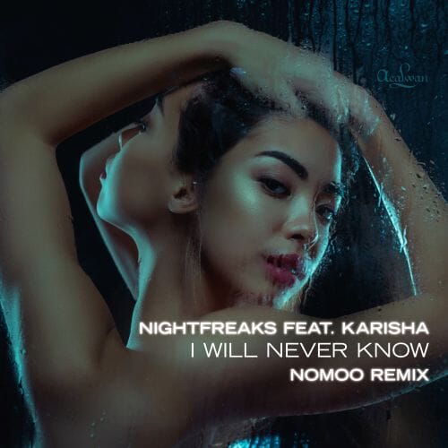 I Will Never Know (nomoo Remix)