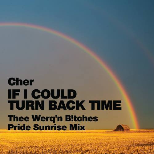 If I Could Turn Back Time (thee Werq'n B!tches Mix)