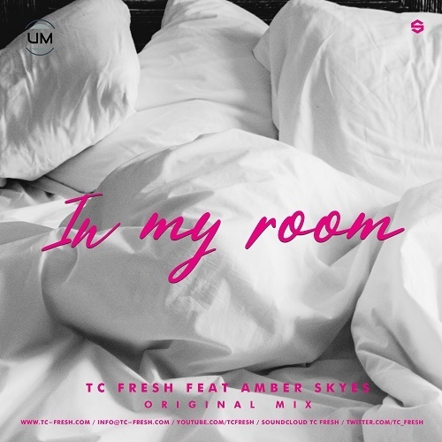Tc Fresh Feat. Amber Skyes-In My Room