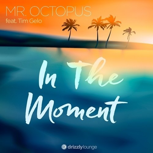 Mr. Octopus Feat. Tim Gelo-In The Moment