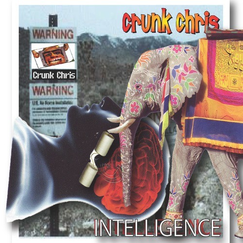 Crunk Chris-Intellegence