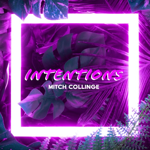 Mitch Collinge-Intentions