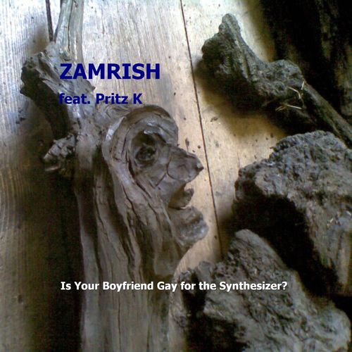 Zamrish-Is Your Boyfriend Gay For The Synthesizer?