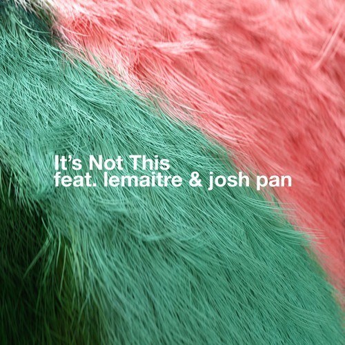Bearson Feat. Lemaitre & Josh Pan-It's Not This