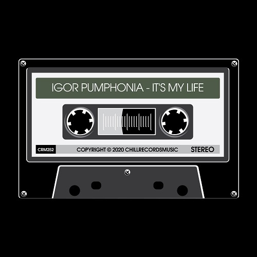 Igor Pumphonia-Its My Life (dub)