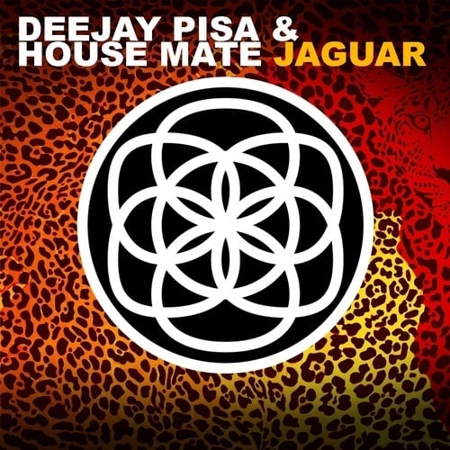 Deejay Pisa & House Mate-Jaguar