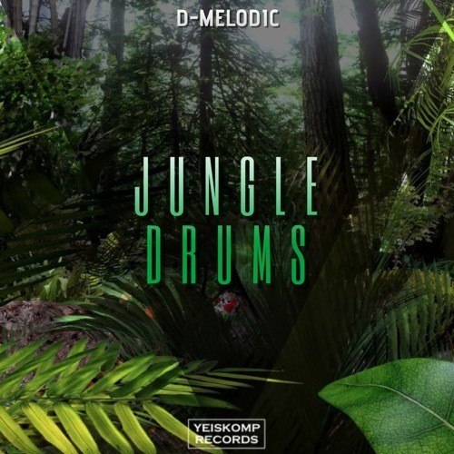 D-melodic-Jungle Drums