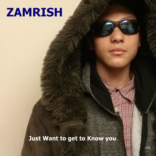 Zamrish-Just Want To Get To Know You