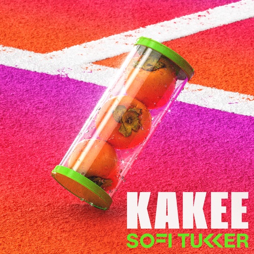 Sofi Tukker-Kakee