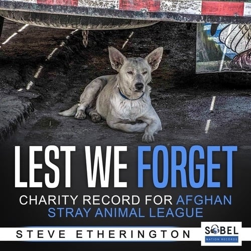 Steve Etherington-Lest They Forget (a Charity Record For Afghan Stray Animal League)