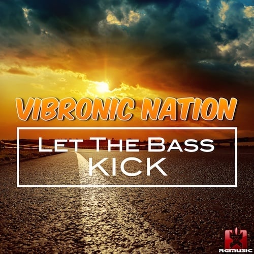 Vibronic Nation-Let The Bass Kick