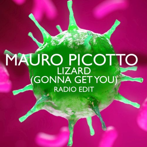 Mauro Picotto-Lizard (gonna Get You)