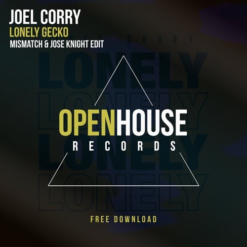Joel Corry-Lonely Gecko (mismatch (uk) & Jose Knight Edit)